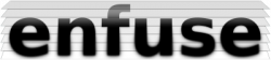 Logo Enfuse